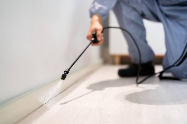 Licensed Termite Control service in Hot Spring County County, AR - Nex Pest Control
